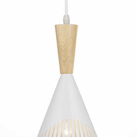 Подвесной светильник Wedo Light Parma 66574.01.09.01