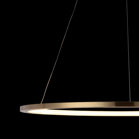 Подвесной светильник Loft IT Ring 10014L (LED, 220V, на тросе, кольцо)