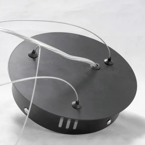 Подвесная люстра Lussole Loft River LSP-8391 (LED, 220V, на тросе, кольцо, IP21)