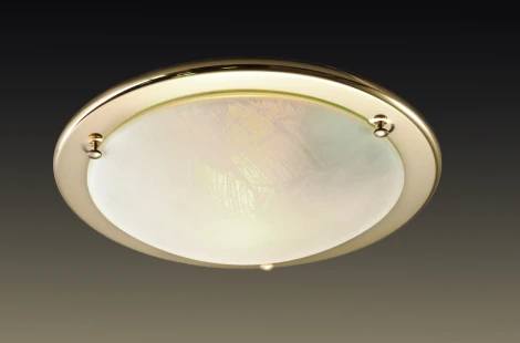 Настенно-потолочный светильник Sonex Alabastro 121
