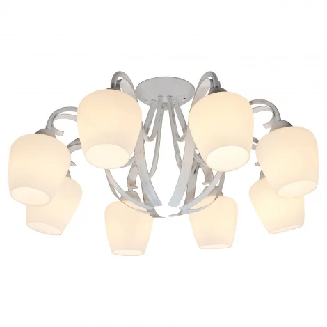 Потолочная люстра Lussole Lgo Fayetteville GRLSP-9910