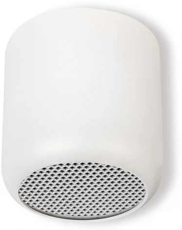 Светильник потолочный Feron HL365 Barrel ECHO 48401 белый, с антибликовой сеточкой (220V, круглые)