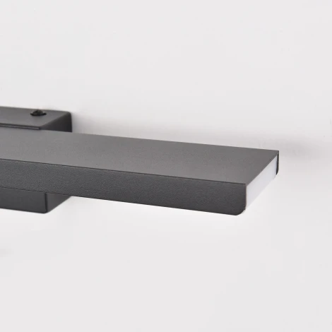 Подсветка для картин светодиодная Lightstar Noce 201067