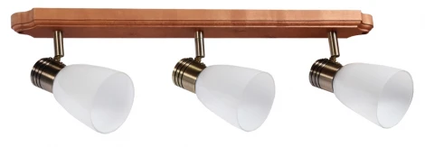 Спот Дубравия Анри 150-71-13/3