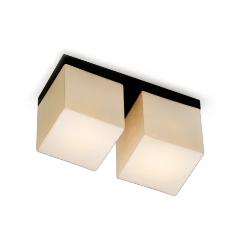 Потолочный светильник Odeon Light Cubet 2043/2C