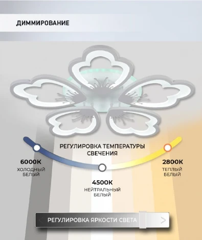 Потолочная люстра Seven Fires Ferenk SF5028/5C-WT-RGB