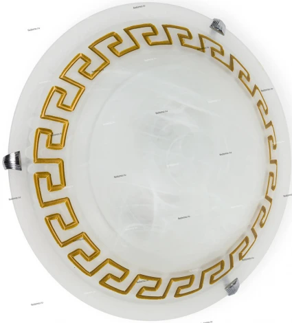 Настенно-потолочный светильник Toplight Gien TL9172Y-03BN