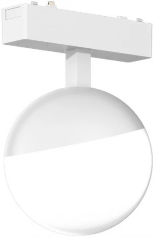 Светильник трековый магнитный 48V Aployt Magnetic track 48 APL.0120.10.06 (LED, шар)