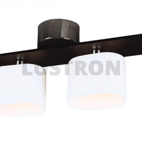 Потолочная люстра MW-Light Николь 364010404