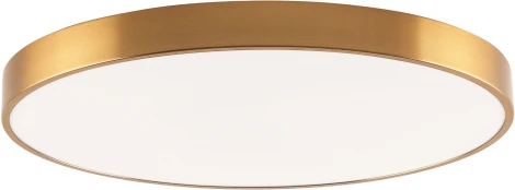 Потолочный светильник круглый светодиодный Zortes Tortty ZRS.02566.96 (220V, круглые, IP21)