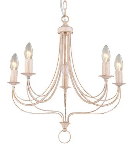 Подвесная люстра Arte Lamp Maytone A6301LM-5WG