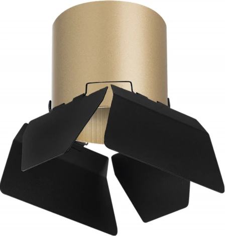 Светильник точечный накладной Lightstar Rullo R3490487 (220V)