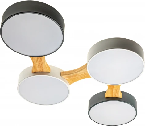 Потолочный светодиодный светильник Ritter Scandia 52071 9