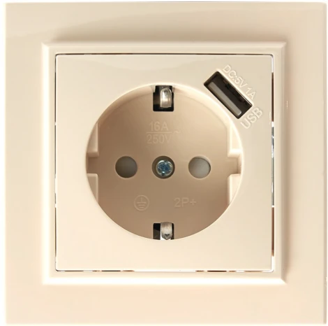 Розетка с заземлением, шторками и USB (слоновая кость) Stekker Эрна 39237