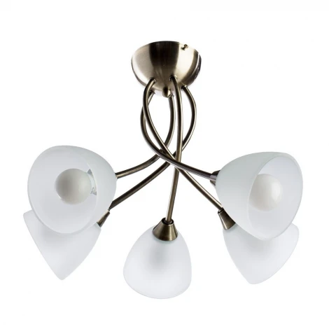 Потолочная люстра Arte Lamp Nikki A2576PL-5AB