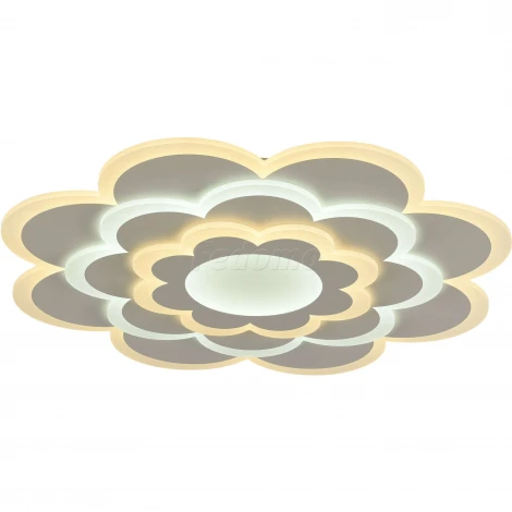 Потолочный светильник F-Promo Ledolution 2286-8C