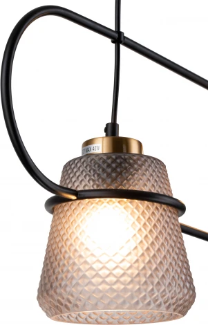 Подвесной светильник Astratto V000157 (11016/2P Black) (220V, на проводе)