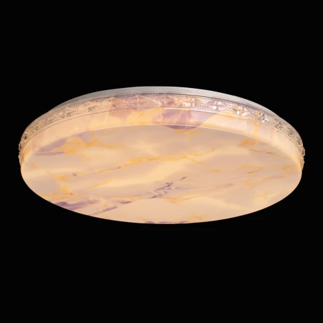 Потолочный светильник круглый с пультом светодиодный De City Ривз 674018501