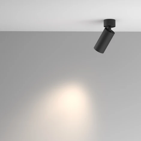 Потолочный спот Maytoni Artisan C082CL-01-GU10-B (220V, круглые)