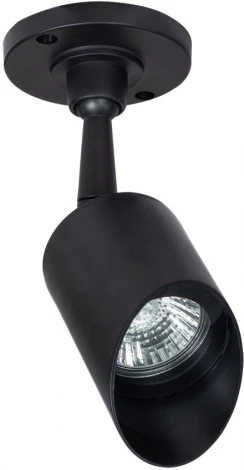 Прожектор уличный Arte Lamp Elsie A1022AL-1BK (220V, IP65)