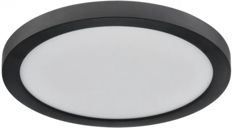 Потолочный светильник Sonex Nebula Black 7788/18L пластик/белый/черный LED 18Вт 3000/4000/6500К CCT/датчик движения