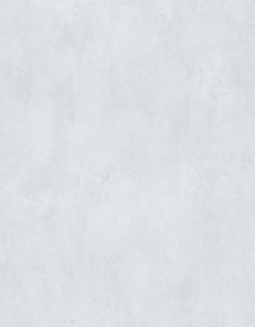 Обои виниловые Marburg New Spirit 32716 10,05 x 0,53 м