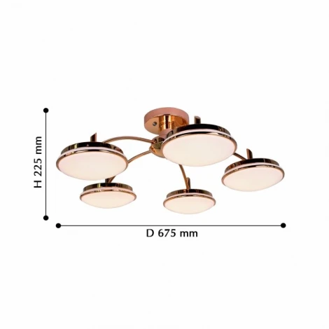Потолочная люстра F-Promo Ledante 2473-5P