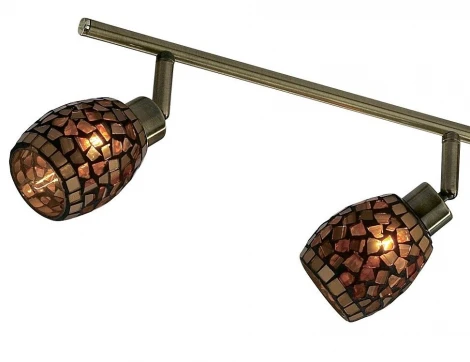 Спот Odeon Light Glosse 2167/4W