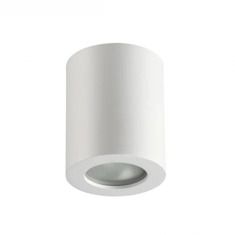 Накладной точечный светильник Odeon Light Aquana 3571/1C (220V, IP44)