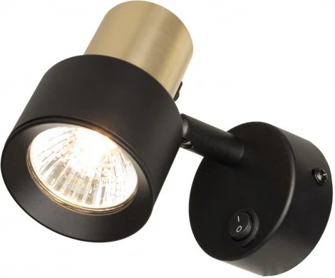 Спот поворотный с включателем Citilux Sat CL505611 (220V, выключатель)