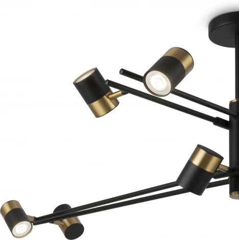 Потолочная люстра на штанге Freya Enzo FR5201PL-10B (220V)