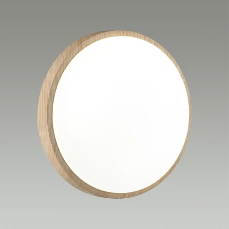 Настенно-потолочный светильник Losta 7607/EL Sonex (регулировка яркости, LED, 220V, пульт управления, круглые, IP43)