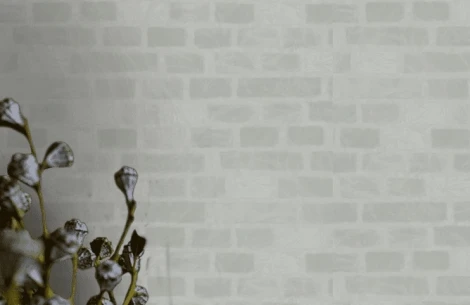 Обои виниловые Zambaiti Romana R 22531 10,05 x 1,06 м