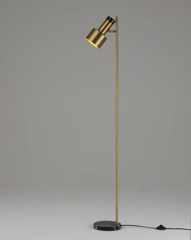 Торшер с выключателем Moderli Goldy V11310-1F (220V)