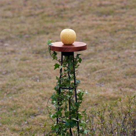 Уличный встраиваемый в грунт светильник со столиком Odeon Light Liana 7108/15GL окраш. под дерево/металл LED 12W 220V (IP65)