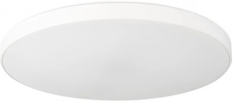 Потолочный светильник круглый Simple Story 1204 1204-LED48CL (220V, круглые)