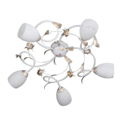 Потолочная люстра Vitaluce V1538/5PL (220V, цветы, листья, розы)
