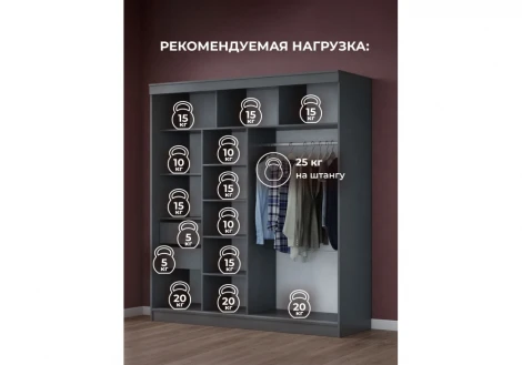 Шкаф-купе Айвор 2 м Хандис Woodville 614742