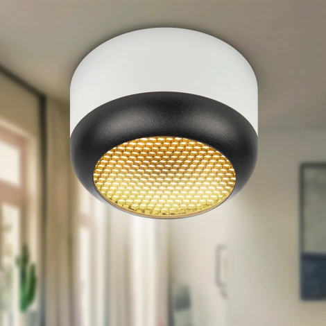 Точечный светильник ЭРА OL56 WH/BK OL56 WH/BK