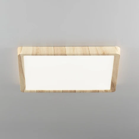 Настенно-потолочный светильник Citilux Бейсик CL738K242V (регулировка яркости, LED, 220V, IP40)