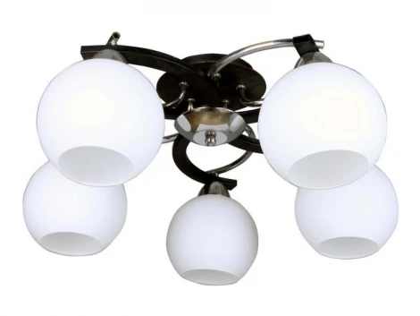 Потолочная люстра Omnilux 254 OML-25407-05 (220V, шарики)