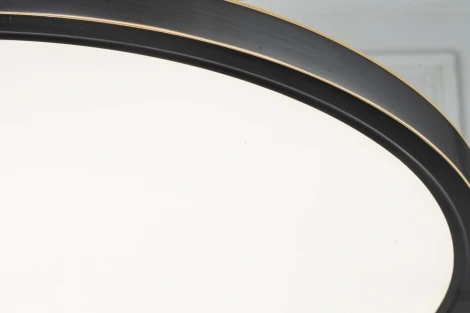 Потолочный светильник круглый Belfast Glenmore 8088-4H BL (LED, 220V, круглые)