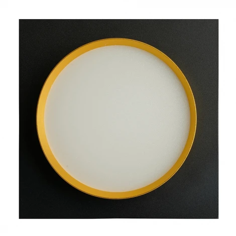 Светильник потолочный встраиваемый Feron DL506 51364