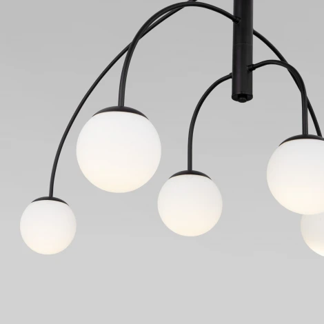 Потолочная люстра на штанге Eurosvet Cenacolo 30179/6 черный (220V)