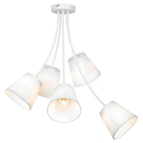 Потолочная люстра Lussole Lgo Lafayette GRLSP-8267 (220V, IP21)