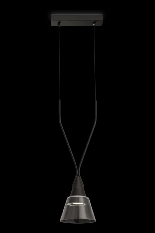 Подвесной светильник Maytoni Hilo P063PL-01B