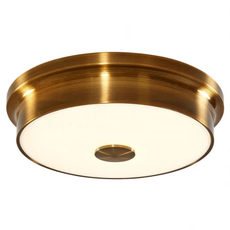 Накладной точечный светильник Citilux Фостер-2 CL706222