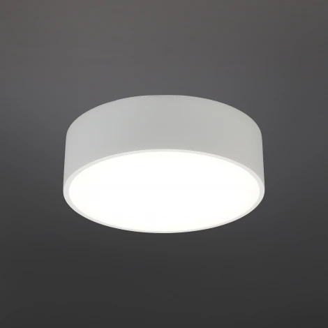 Потолочный светильник круглый Aployt Evon APL.0114.09.12 (LED, 220V, круглые)