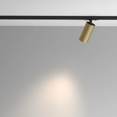 Трековый светильник однофазный 220V Maytoni Artisan TR089-1-GU10-BMG (круглые)