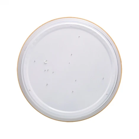 Светодиодный светильник потолочный 60Вт с ПДУ Lumin'arte Starwood CLL46